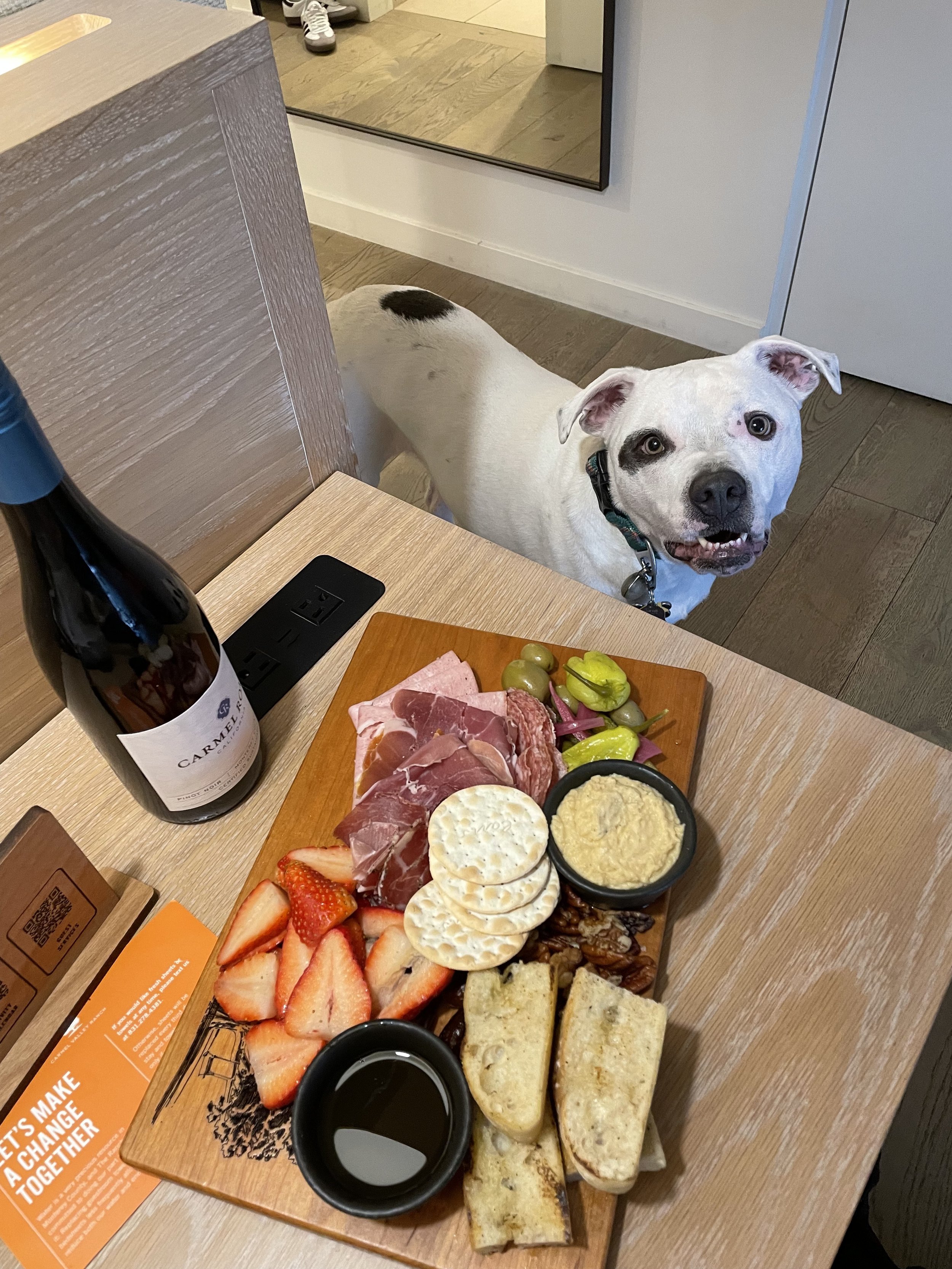 In-Home Pet Care