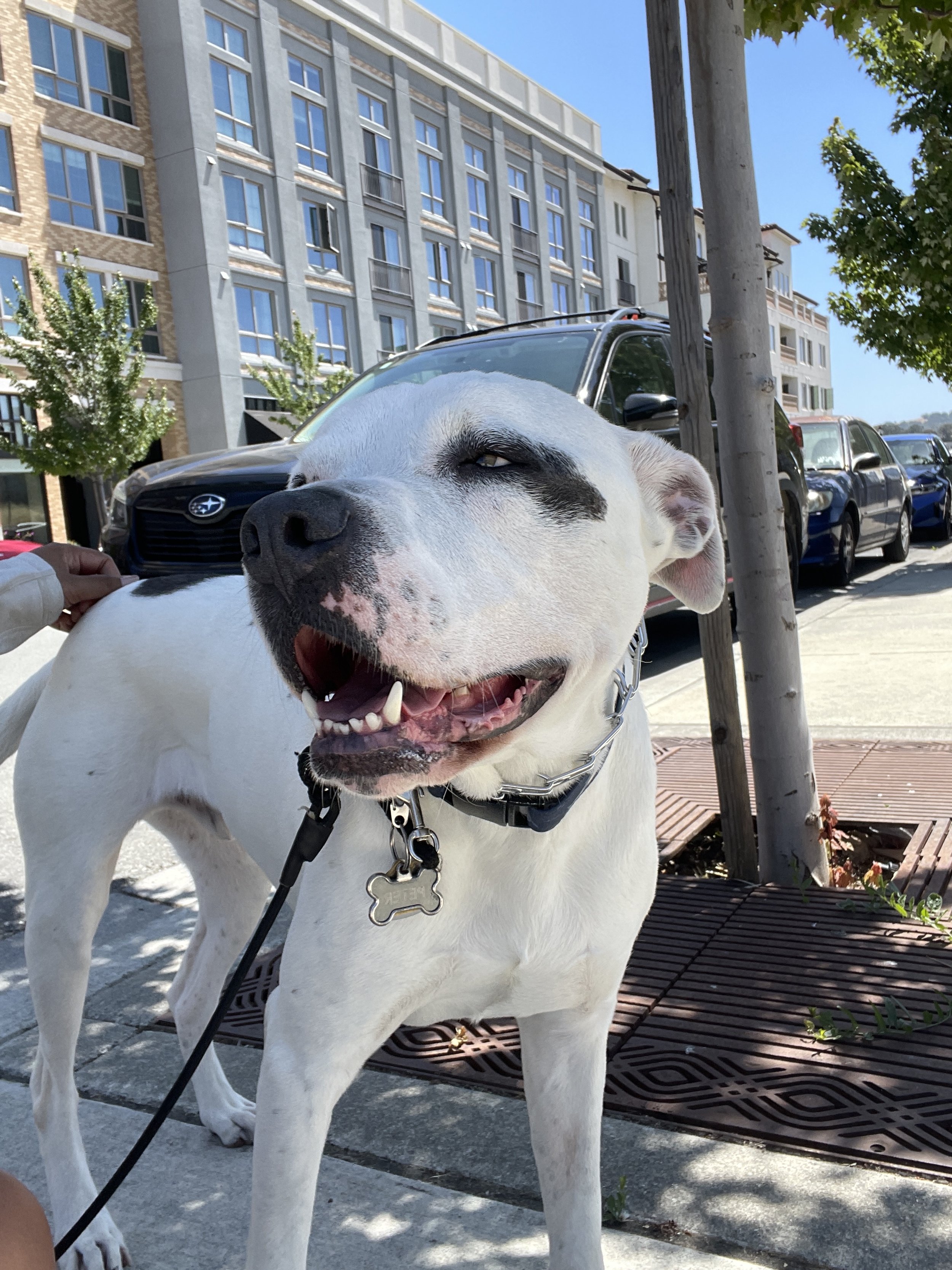 One-on-One Adventure Walk