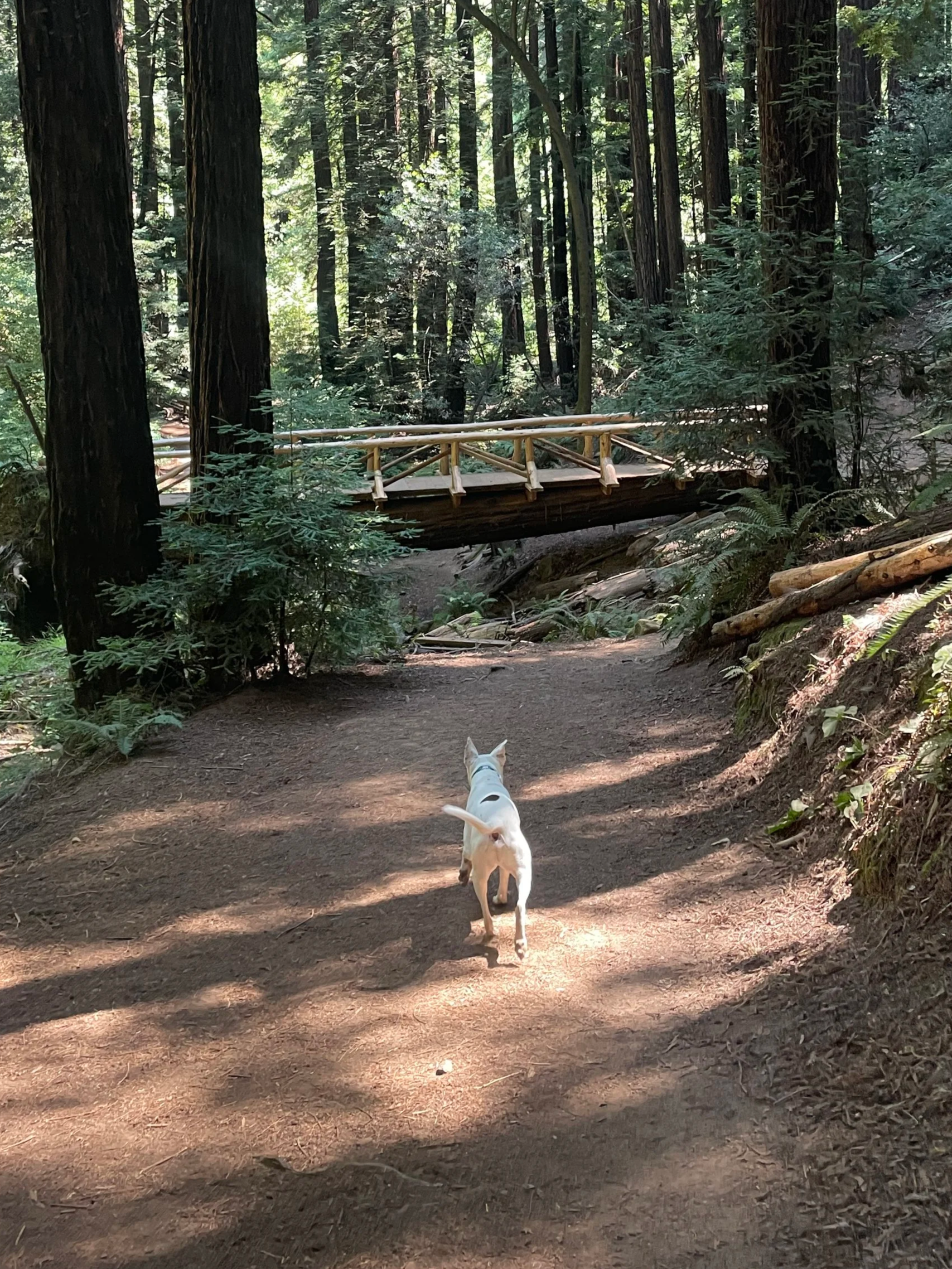 Field Trip Trek (60 Minutes min)